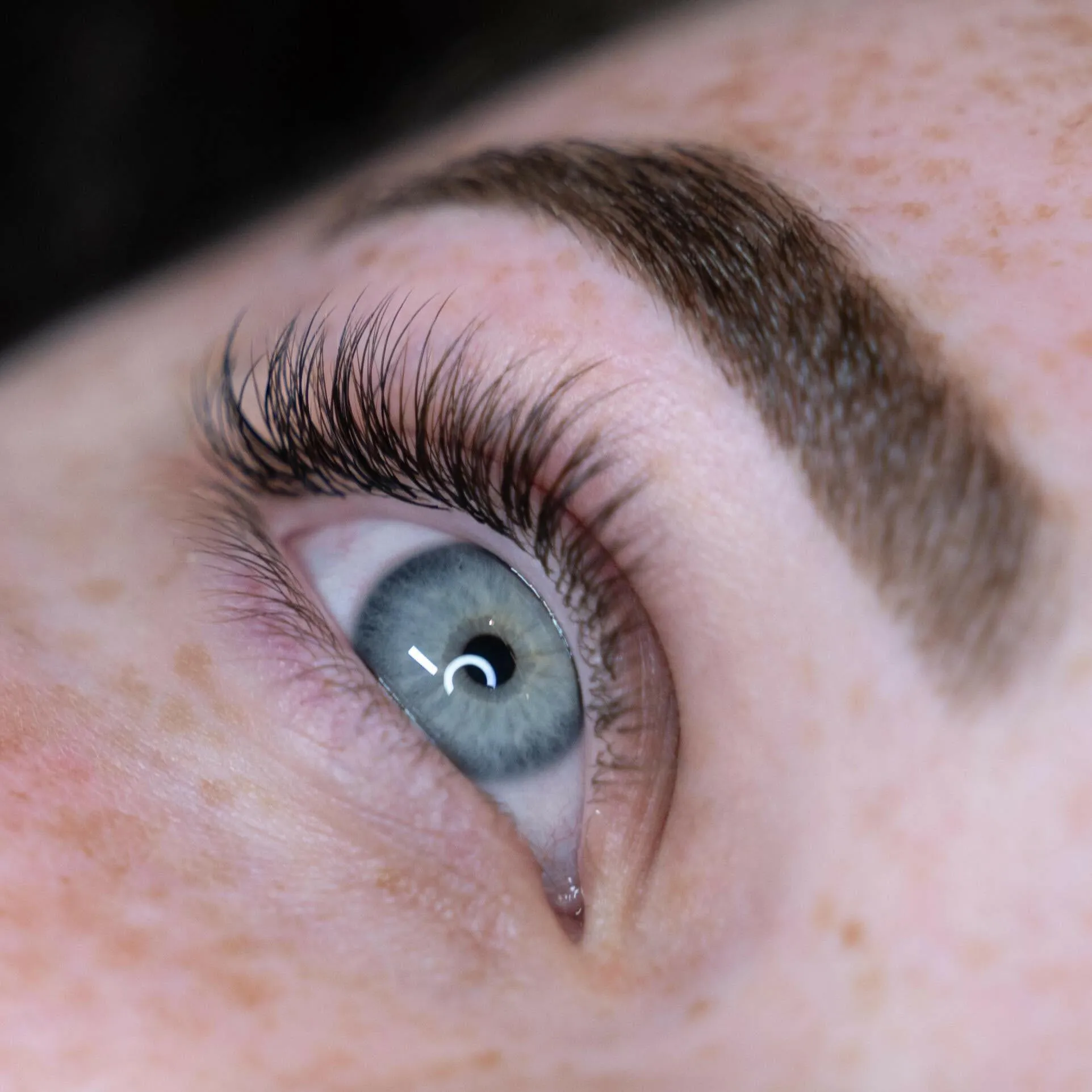 4 Day Beginner Brow Styling Course | Brisbane
