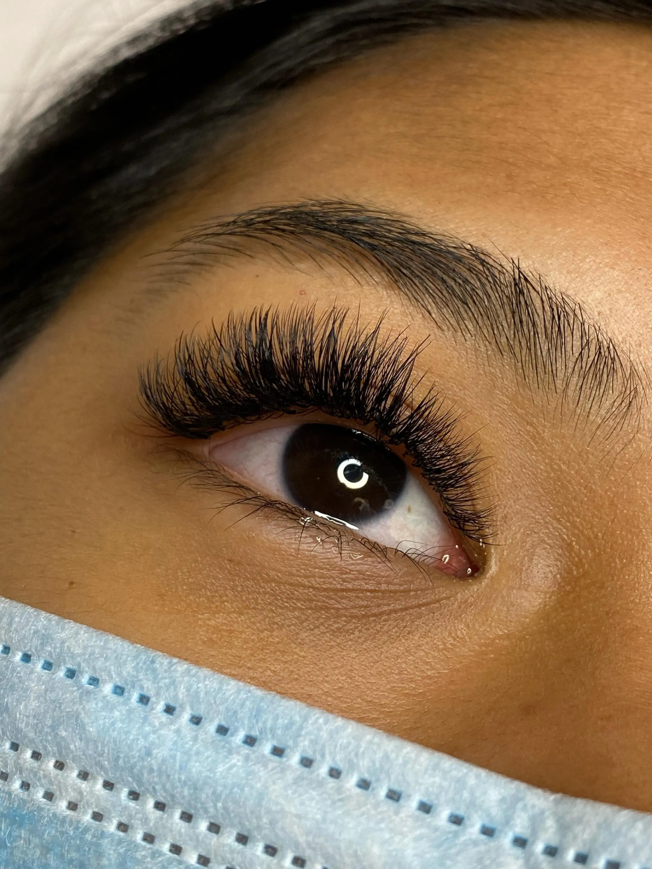 7-in-1 Lash & Brow Artist Course Bundle | Brisbane