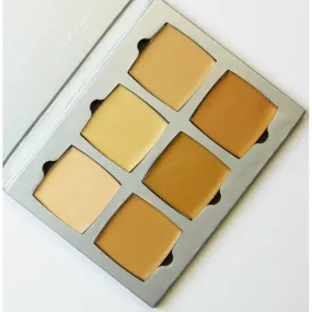 AJ Crimson Artist Kit palette  Fair/Tan