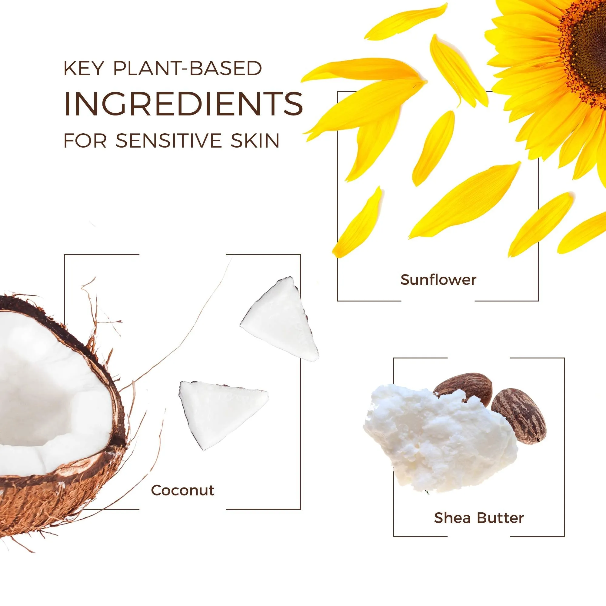 Babo Botanicals Sheer Mineral Sunscreen Lotion SPF 50 with 100% Mineral Active Ingredients - for Babies, Kids or Extra Sensitive Skin - Lightweight, Water Resistant & Fragrance Free - 3 fl. oz.