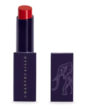 Lip Veil in Protea