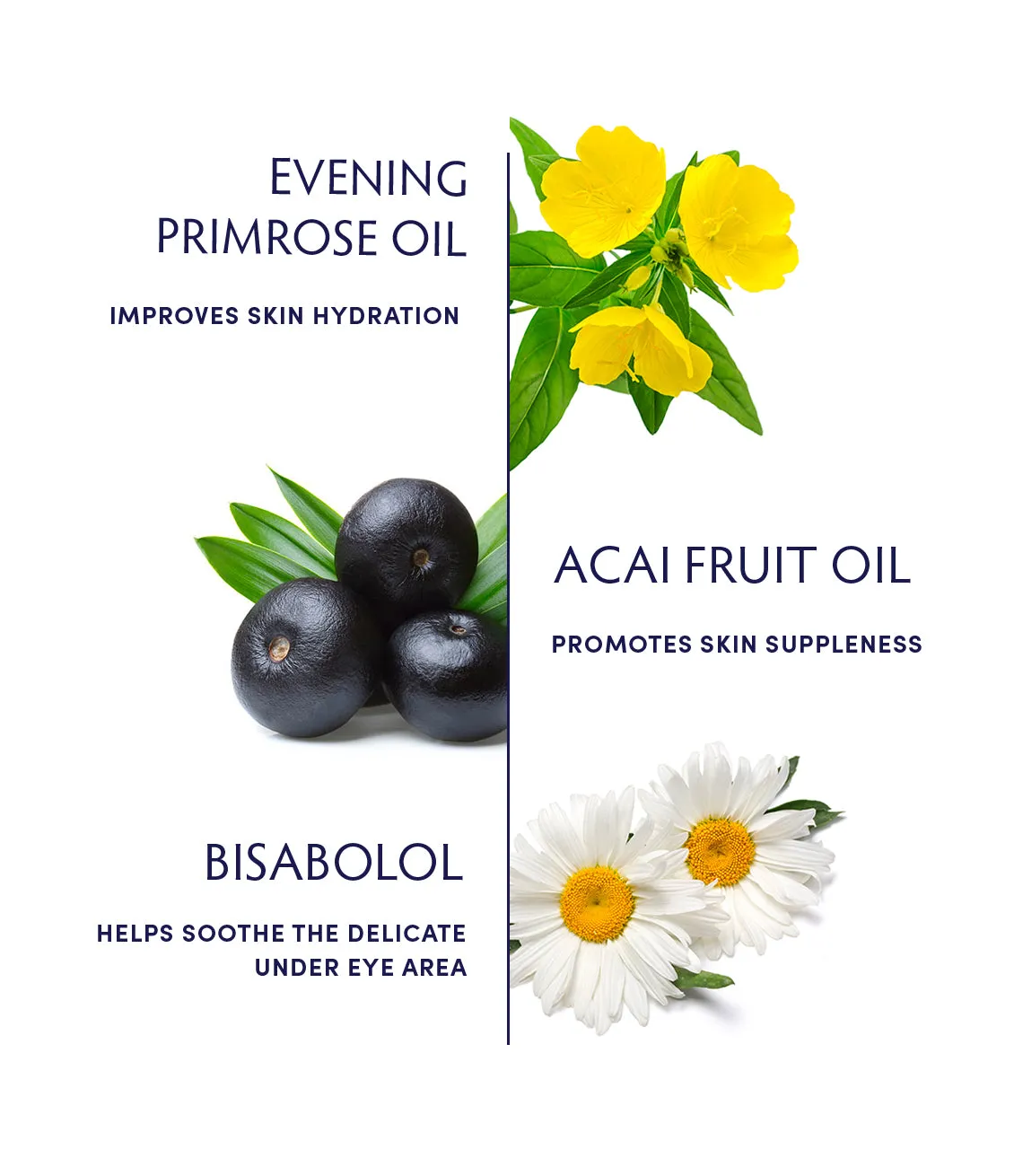 Primrose Eye & Lip Treatment