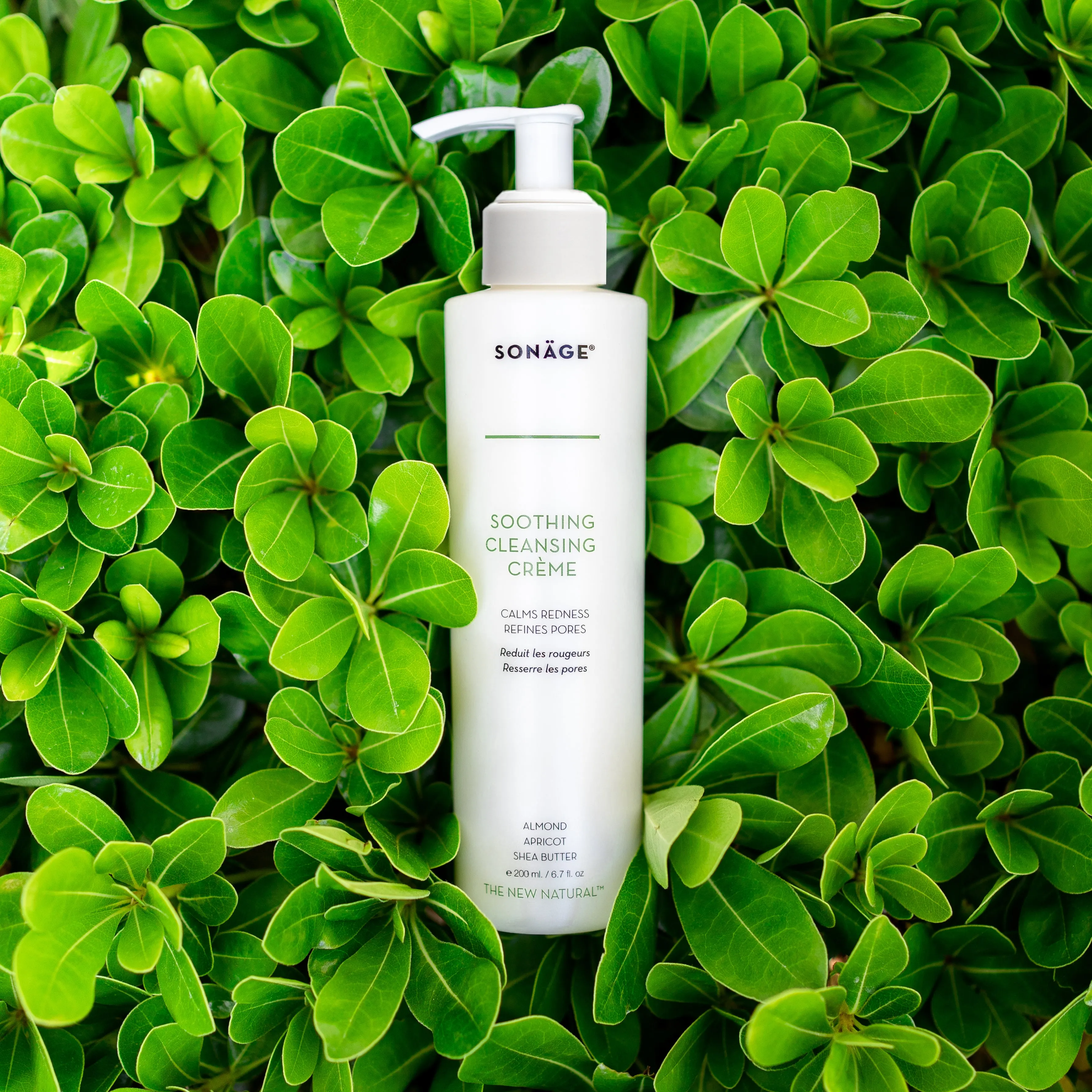 Soothing Cleansing Creme (Wholesale)