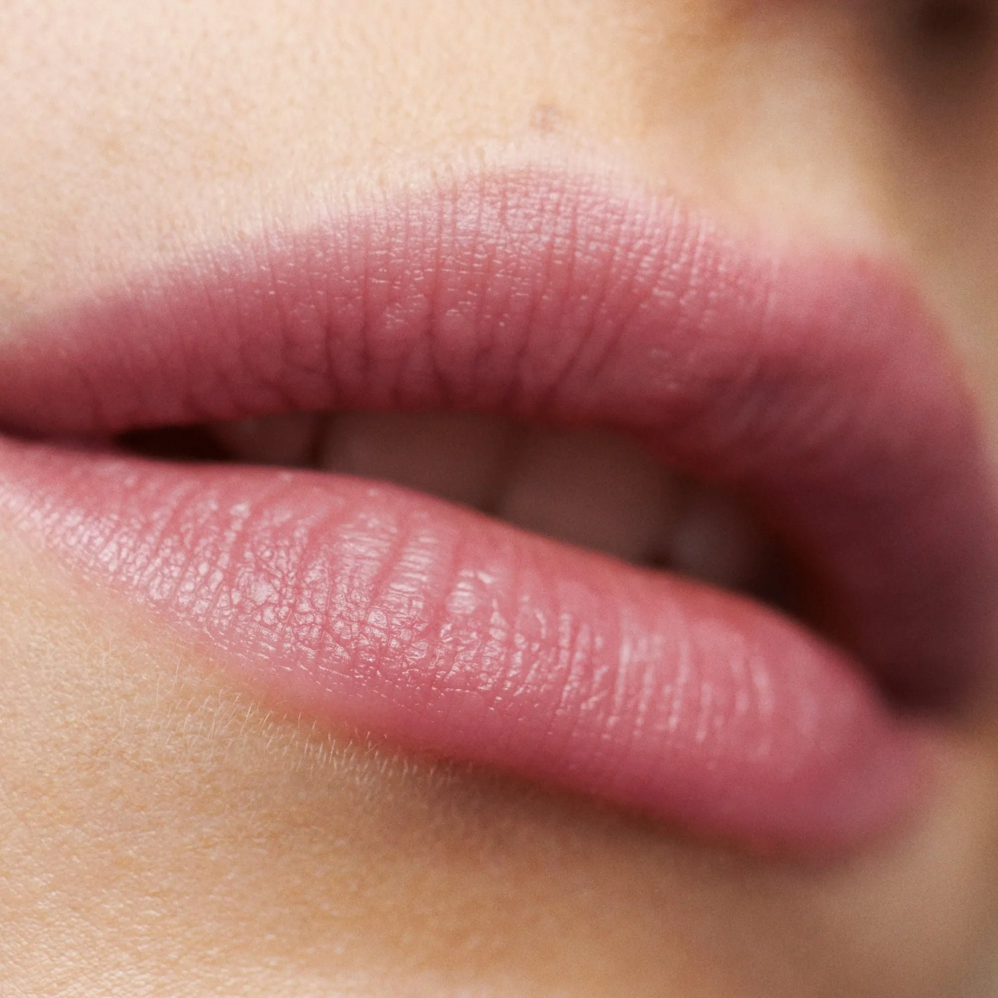 Sugar Lip Balm